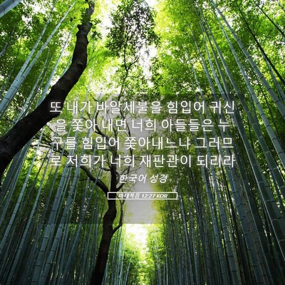 Picture 05 - 마태복음 12:27 KOR - 또 내가 바알세불을 힘입어 귀신을 - Bible Verse Picture