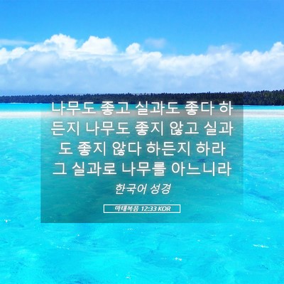 Picture 05 - 마태복음 12:33 KOR - 나무도 좋고 실과도 좋다 하든지 - Bible Verse Picture