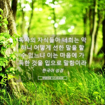 Picture 05 - 마태복음 12:34 KOR - 독사의 자식들아 너희는 악하니 - Bible Verse Picture