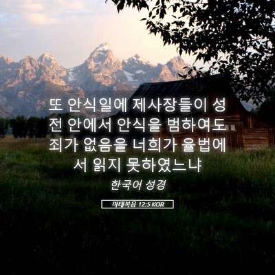 Picture 05 - 마태복음 12:5 KOR - 또 안식일에 제사장들이 성전 안에서 - Bible Verse Picture
