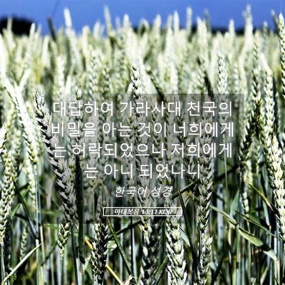 Picture 05 - 마태복음 13:11 KOR - 대답하여 가라사대 천국의 비밀을 - Bible Verse Picture