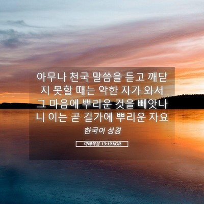 Picture 05 - 마태복음 13:19 KOR - 아무나 천국 말씀을 듣고 깨닫지 - Bible Verse Picture