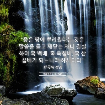 Picture 05 - 마태복음 13:23 KOR - 