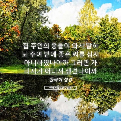 Picture 05 - 마태복음 13:27 KOR - 집 주인의 종들이 와서 말하되 주여 - Bible Verse Picture