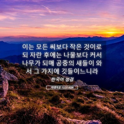 Picture 05 - 마태복음 13:32 KOR - 이는 모든 씨보다 작은 것이로되 - Bible Verse Picture