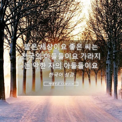 Picture 05 - 마태복음 13:38 KOR - 밭은 세상이요 좋은 씨는 천국의 - Bible Verse Picture