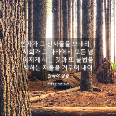 Picture 05 - 마태복음 13:41 KOR - 인자가 그 천사들을 보내리니 저희가 - Bible Verse Picture