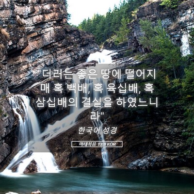 Picture 05 - 마태복음 13:8 KOR - 