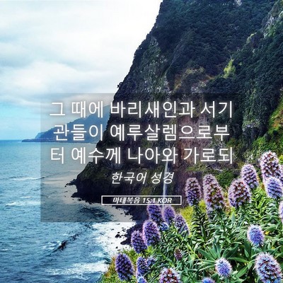 Picture 05 - 마태복음 15:1 KOR - 그 때에 바리새인과 서기관들이 - Bible Verse Picture