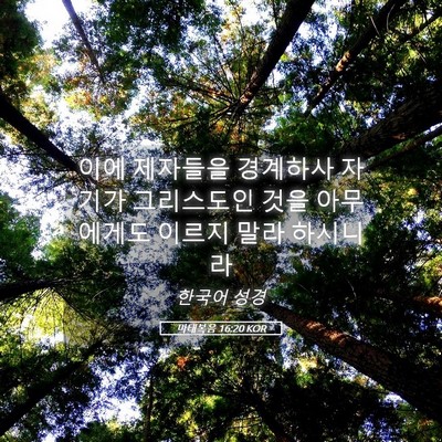 Picture 05 - 마태복음 16:20 KOR - 이에 제자들을 경계하사 자기가 - Bible Verse Picture
