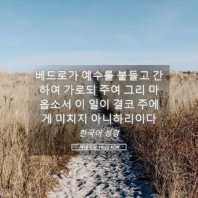 Picture 05 - 마태복음 16:22 KOR - 베드로가 예수를 붙들고 간하여 - Bible Verse Picture