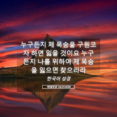 Picture 05 - 마태복음 16:25 KOR - 누구든지 제 목숨을 구원코자 하면 - Bible Verse Picture