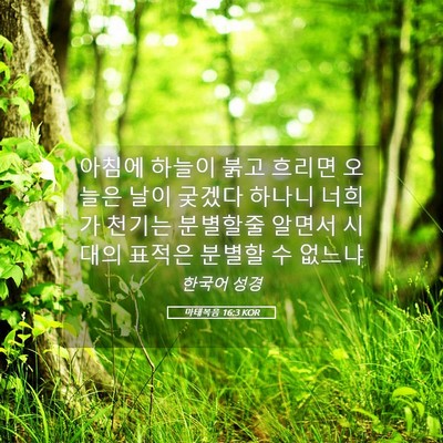 Picture 05 - 마태복음 16:3 KOR - 아침에 하늘이 붉고 흐리면 오늘은 - Bible Verse Picture