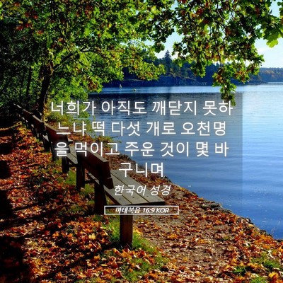 Picture 05 - 마태복음 16:9 KOR - 너희가 아직도 깨닫지 못하느냐 떡 - Bible Verse Picture