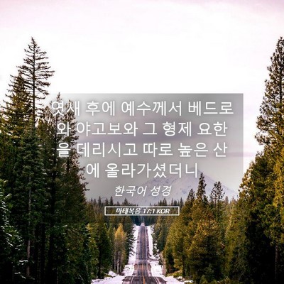 Picture 05 - 마태복음 17:1 KOR - 엿새 후에 예수께서 베드로와 - Bible Verse Picture