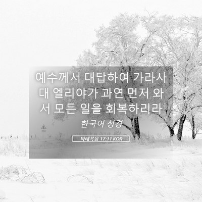 Picture 05 - 마태복음 17:11 KOR - 예수께서 대답하여 가라사대 - Bible Verse Picture