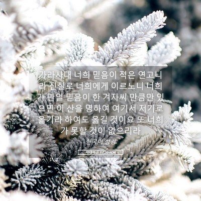 Picture 05 - 마태복음 17:20 KOR - 가라사대 너희 믿음이 적은 연고니라 - Bible Verse Picture