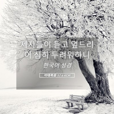 Picture 05 - 마태복음 17:6 KOR - 제자들이 듣고 엎드리어 심히 - Bible Verse Picture