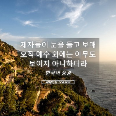 Picture 05 - 마태복음 17:8 KOR - 제자들이 눈을 들고 보매 오직 예수 - Bible Verse Picture