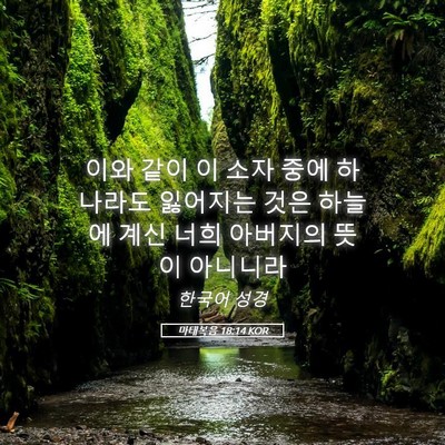 Picture 05 - 마태복음 18:14 KOR - 이와 같이 이 소자 중에 하나라도 - Bible Verse Picture