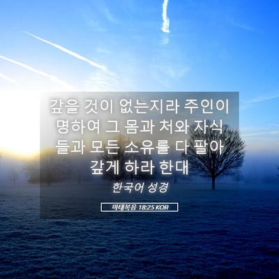 Picture 05 - 마태복음 18:25 KOR - 갚을 것이 없는지라 주인이 명하여 - Bible Verse Picture