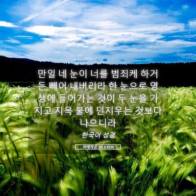 Picture 05 - 마태복음 18:9 KOR - 만일 네 눈이 너를 범죄케 하거든 - Bible Verse Picture