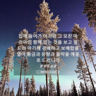 Picture 05 - 마태복음 2:11 KOR - 집에 들어가 아기와 그 모친 - Bible Verse Picture