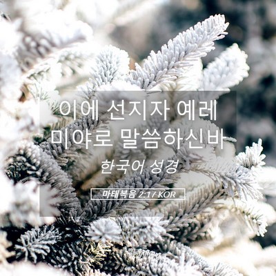 Picture 05 - 마태복음 2:17 KOR - 이에 선지자 예레미야로 - Bible Verse Picture