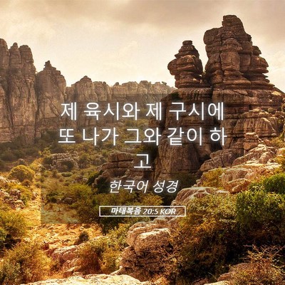 Picture 05 - 마태복음 20:5 KOR - 제 육시와 제 구시에 또 나가 그와 - Bible Verse Picture