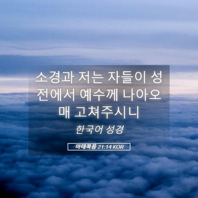 Picture 05 - 마태복음 21:14 KOR - 소경과 저는 자들이 성전에서 예수께 - Bible Verse Picture