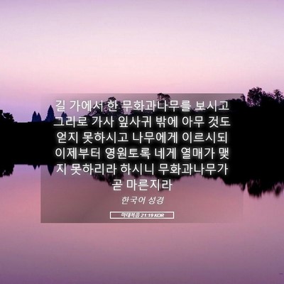 Picture 05 - 마태복음 21:19 KOR - 길 가에서 한 무화과나무를 보시고 - Bible Verse Picture