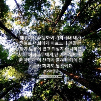 Picture 05 - 마태복음 21:21 KOR - 예수께서 대답하여 가라사대 내가 - Bible Verse Picture