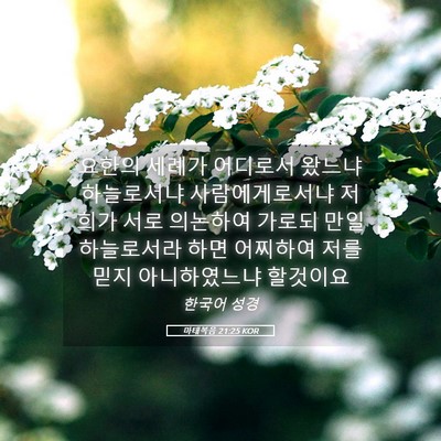 Picture 05 - 마태복음 21:25 KOR - 요한의 세례가 어디로서 왔느냐 - Bible Verse Picture