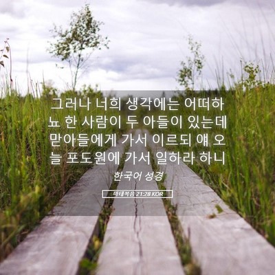 Picture 05 - 마태복음 21:28 KOR - 그러나 너희 생각에는 어떠하뇨 한 - Bible Verse Picture