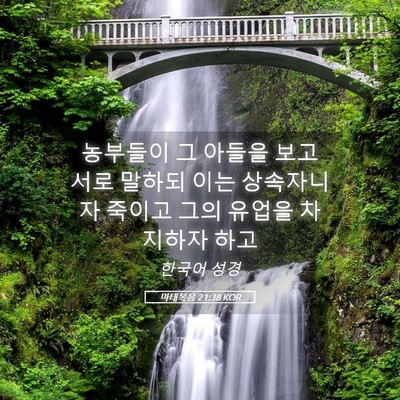 Picture 05 - 마태복음 21:38 KOR - 농부들이 그 아들을 보고 서로 - Bible Verse Picture