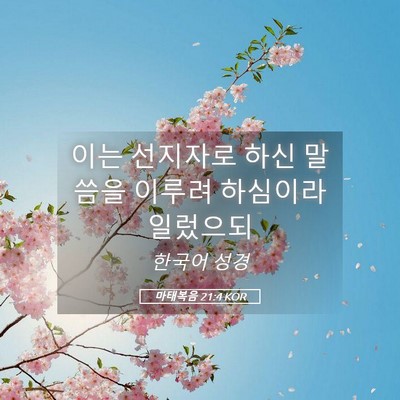 Picture 05 - 마태복음 21:4 KOR - 이는 선지자로 하신 말씀을 이루려 - Bible Verse Picture