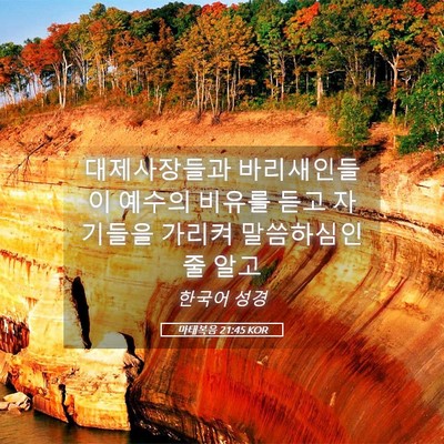 Picture 05 - 마태복음 21:45 KOR - 대제사장들과 바리새인들이 예수의 - Bible Verse Picture