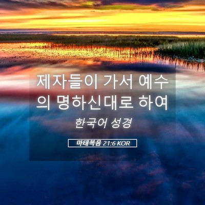 Picture 05 - 마태복음 21:6 KOR - 제자들이 가서 예수의 명하신대로 - Bible Verse Picture