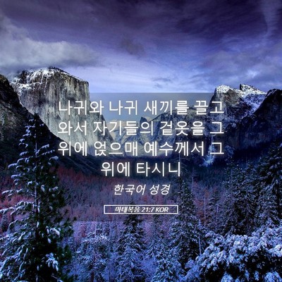 Picture 05 - 마태복음 21:7 KOR - 나귀와 나귀 새끼를 끌고 와서 - Bible Verse Picture