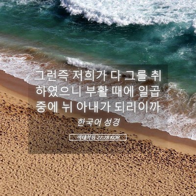 Picture 05 - 마태복음 22:28 KOR - 그런즉 저희가 다 그를 취하였으니 - Bible Verse Picture