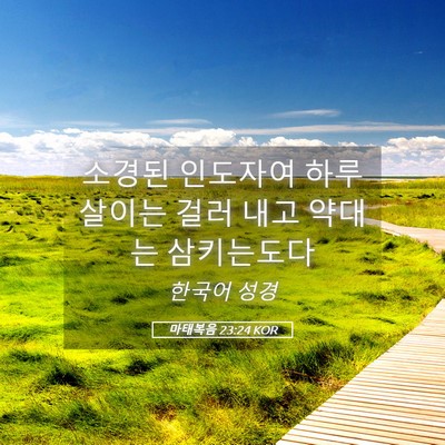 Picture 05 - 마태복음 23:24 KOR - 소경된 인도자여 하루살이는 걸러 - Bible Verse Picture