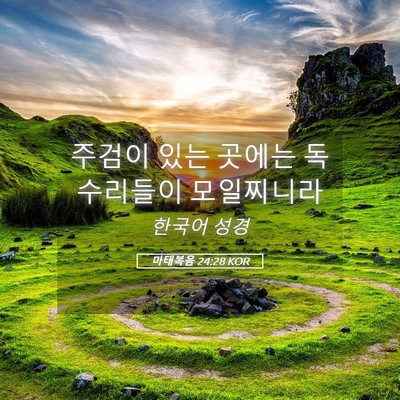 Picture 05 - 마태복음 24:28 KOR - 주검이 있는 곳에는 독수리들이 - Bible Verse Picture