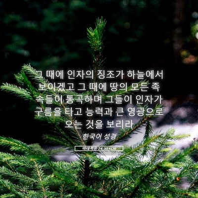 Picture 05 - 마태복음 24:30 KOR - 그 때에 인자의 징조가 하늘에서 - Bible Verse Picture