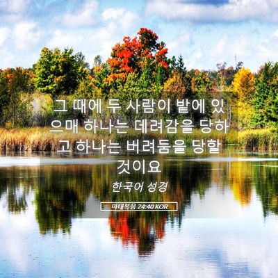Picture 05 - 마태복음 24:40 KOR - 그 때에 두 사람이 밭에 있으매 - Bible Verse Picture