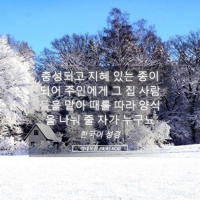 Picture 05 - 마태복음 24:45 KOR - 충성되고 지혜 있는 종이 되어 - Bible Verse Picture