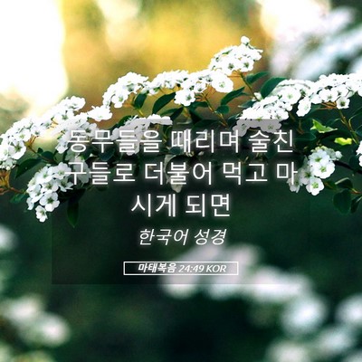 Picture 05 - 마태복음 24:49 KOR - 동무들을 때리며 술친구들로 더불어 - Bible Verse Picture