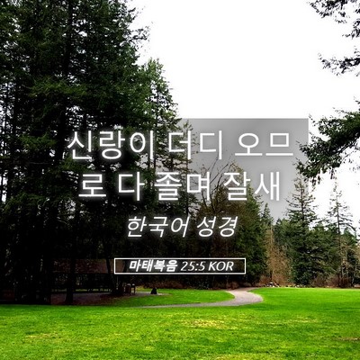 Picture 05 - 마태복음 25:5 KOR - 신랑이 더디 오므로 다 졸며 - Bible Verse Picture