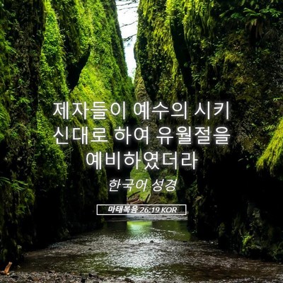 Picture 05 - 마태복음 26:19 KOR - 제자들이 예수의 시키신대로 하여 - Bible Verse Picture