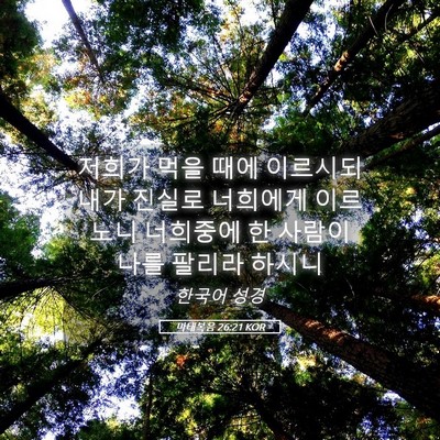 Picture 05 - 마태복음 26:21 KOR - 저희가 먹을 때에 이르시되 내가 - Bible Verse Picture