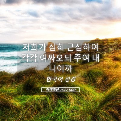 Picture 05 - 마태복음 26:22 KOR - 저희가 심히 근심하여 각각 여짜오되 - Bible Verse Picture